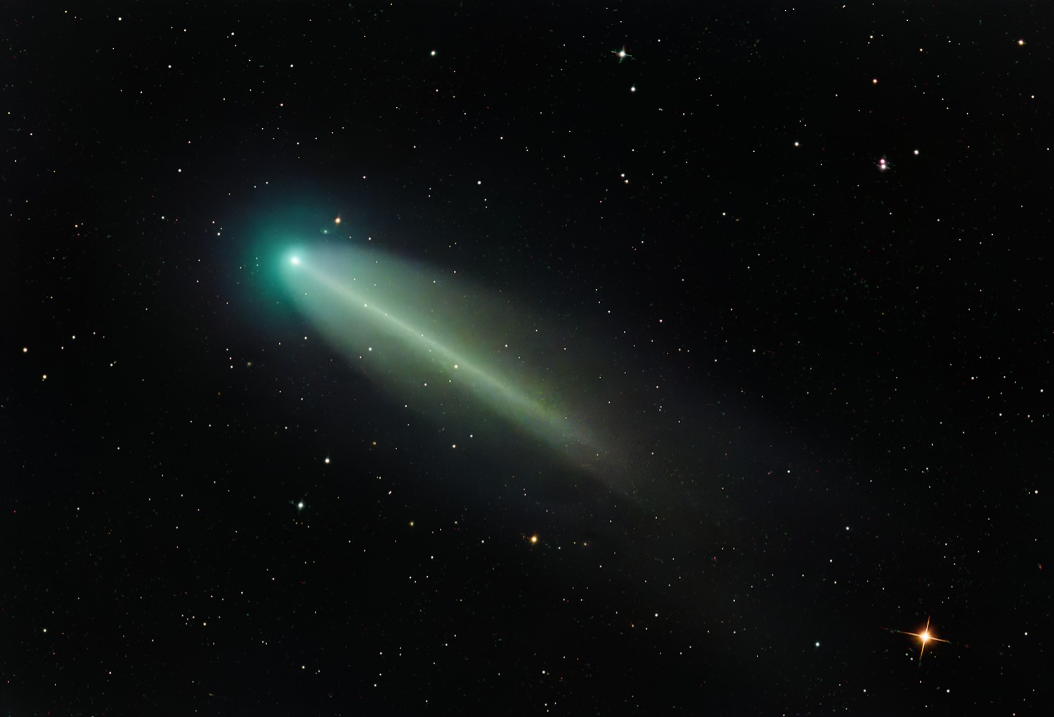 Cometa 220P/McNaught (2026)